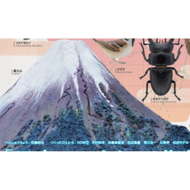 Japonia Ikimon Gashapon Zabawk – Capsule Toy Gashapon recenzja i cena