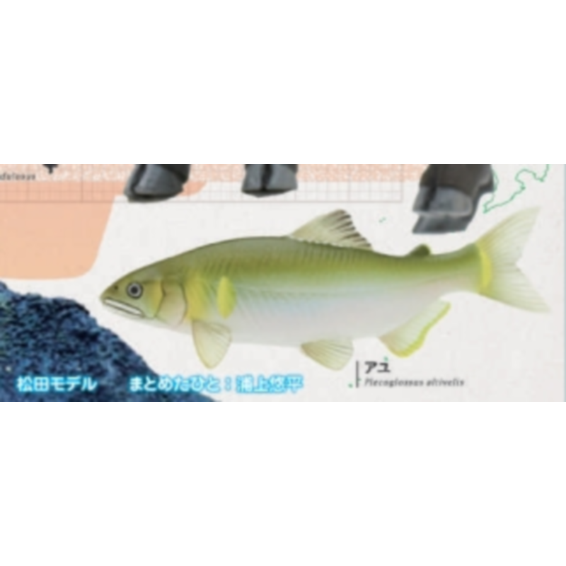 Japonia Ikimon Gashapon Zabawk – Capsule Toy Gashapon recenzja i cena